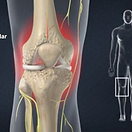 genicular-nerve-block-g-block