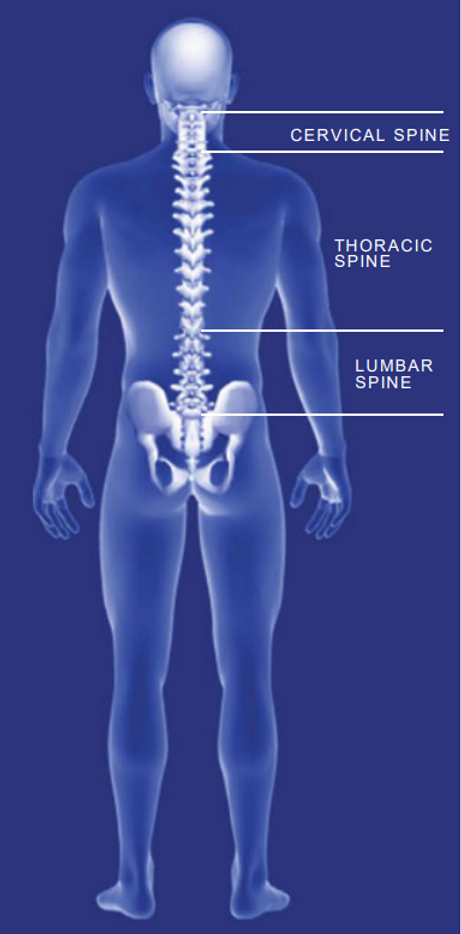 symptoms-of-spondylosis