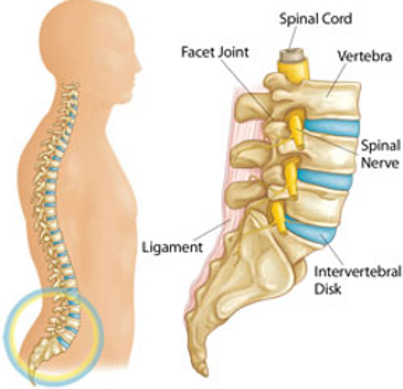 chiropractic-pain