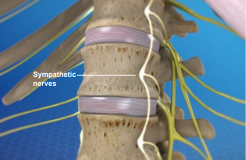 lumbar-sympathetic-nerve