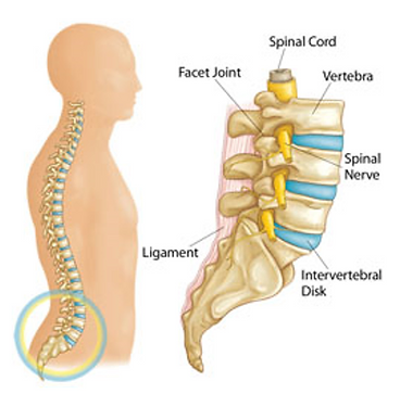 Spinal Cord Stimulator Mckinney