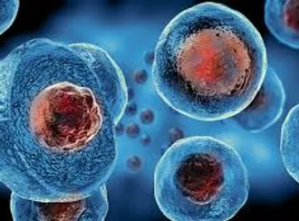 stem-cell-therapy