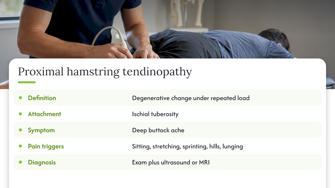 What proximal hamstring tendinopathy actually is — overview diagram